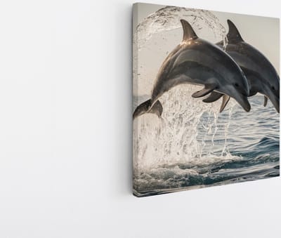 Saammp Canvas Schilderij - 2 Dolfijnen - Dieren - Landschap - Natuur - 20x20 - Foto op canvas - Wanddecoratie - Muurdecoratie Woonkamer - Slaapkamer decoratie - Canvas Print