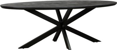 Eettafel Colorado ovaal mangohout 260x110 cm - verjongde rand - Zwart