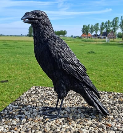 Zwarte Raaf Beeld - 35 cm Hoog - Polystone Tuinbeeld Kraai - Realistische Vogel Decoratie - Weerbestendig & Duurzaam - Halloween & Mystieke Decoratie