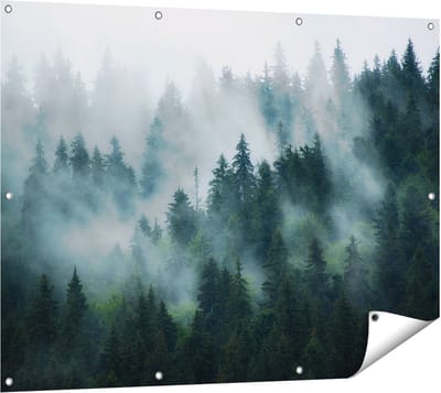 Gards Tuinposter Bos met Bomen in de Mist - 120x90 cm - Tuindoek - Tuindecoratie - Wanddecoratie buiten - Tuinschilderij