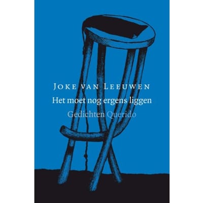 Het Moet Nog Ergens Liggen - Joke van Leeuwen