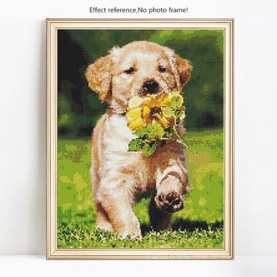 Diamantmozaïek Strassborduurwerk Cadeau Diamantschilderij met vierkante stenen Dieren Kruissteek 20X30