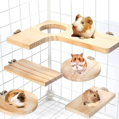 Leuke en Veilige Accessoires voor Hamsters en Kleine Knaagdieren