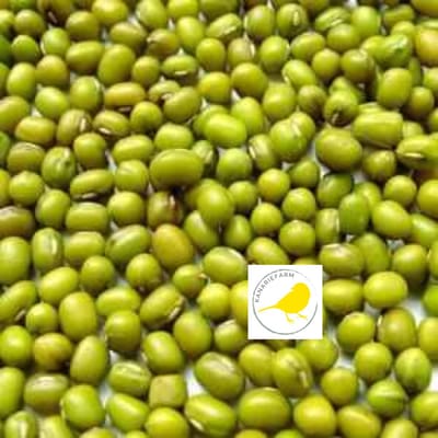 Binnenvogel- Vogelvoer- Kiemzaad- Kadjang Idjoe- Mungbonen- 2 Kilo