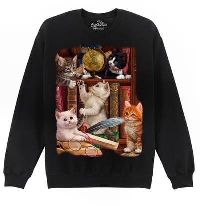 Kitttens In The Library The Coloured House Sweater S