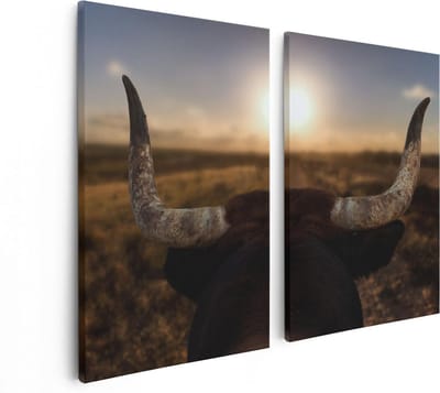 Artaza Canvas Schilderij Tweeluik Stierenhoorns Bij Zonsondergang - 80x60 - Foto Op Canvas - Canvas Print