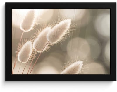Poster in lijst - Fotolijst 30x20 cm - Posters - Hazestaartgras - Wit - Zonlicht - Posterlijst zwart - Decoratie - Wanddecoratie woonkamer - Muurdecoratie slaapkamer