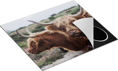 Chefcare Inductie Beschermer Twee Schotse Hooglander Koeien - 60x50 cm - Afdekplaat Inductie - Kookplaat Beschermer - Inductie Mat