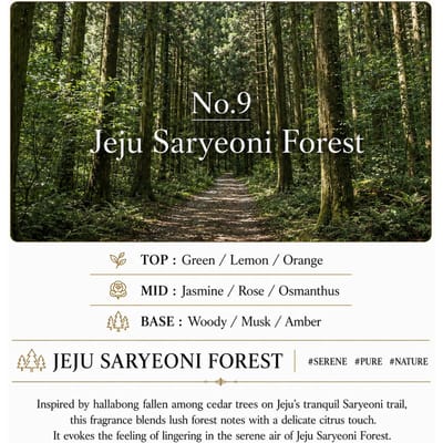 HETRAS Multi Fragrance Life Spray Langdurige Geurige Stof- en Kamerverfrisser 300ml × 2 No09 Jeju Saryeoni Forest
