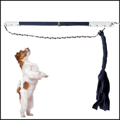 Hondenspeelgoed Flirt Pole maat 1 in de kleuren donkerblauw, roze, beige. Hondenhengel - hondenspeelhengel - focus speelgoed - trainingsspeelgoed - hondentrektouw - Hondentraining - dog toy - ShukoGear by MadeByShuko