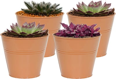 Mega Collections plantenpot/bloempot Bob - 4x - zink - terra - D11 X H10 cm