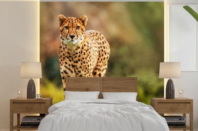 Behang - Fotobehang Wilde dieren - Gras - Luipaard - Natuur - Breedte 240 cm x hoogte 240 cm