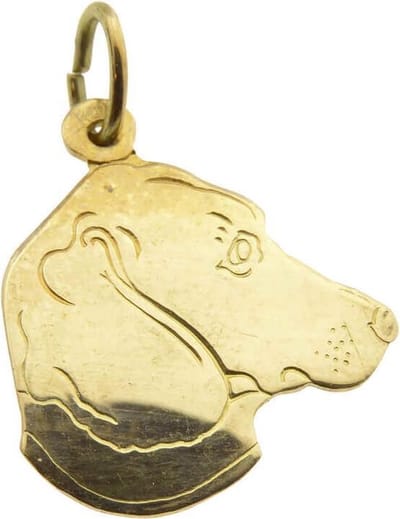 Gouden hond hoofd hanger