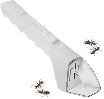 Fruitvliegjes Vanger - Insectenvanger - Groene ABS Kunststof - Ergonomisch Ontwerp - Dierenvriendelijk - Voor Kinderen en Volwassenen