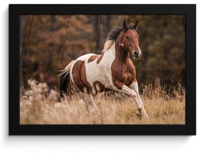 Poster in lijst - Fotolijst 30x20 cm - Posters - Paard - Bruin - Gras - Posterlijst zwart - Decoratie - Wanddecoratie woonkamer - Muurdecoratie slaapkamer
