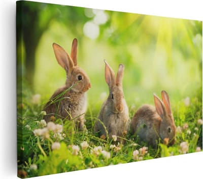Artaza Canvas Schilderij Konijnen In Het Gras - 30x20 cm - Klein - Wanddecoratie Woonkamer - Muurdecoratie Bloemen - Kamer Accessoires