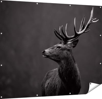 Gards Tuinposter Hertenkop - Hert - Zwart Wit - 150x120 cm - Tuindoek - Tuindecoratie - Wanddecoratie buiten - Tuinschilderij