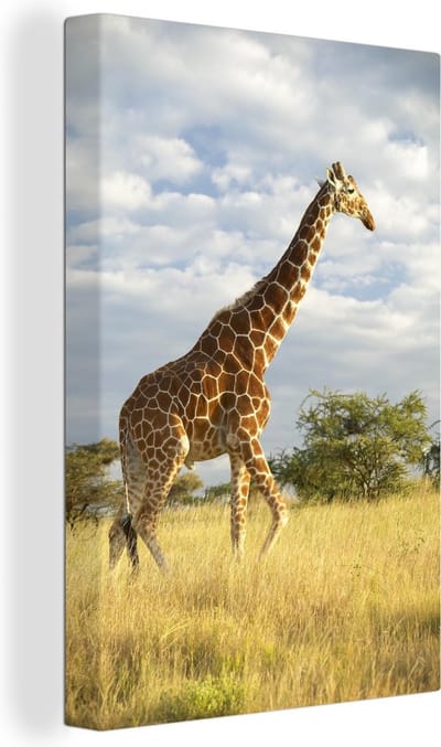 Canvas Schilderij Giraffe - Lucht - Gras - 40x60 cm - Wanddecoratie