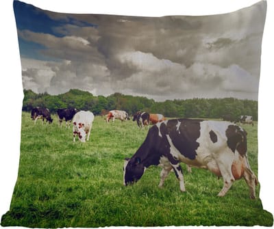Tuinkussen - Koeien - Weiland - Natuur - Dieren - Landschap - 40x40 cm - Weerbestendig