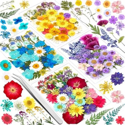 Droogbloemen Set van 159 Stuks voor Creatieve Projecten – Gedroogde Bloemen voor Hars, Kaarsen en Décoratie