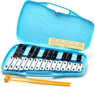 Blauw Klokkenspel met 2 Octaven Muziekinstrument voor Kinderen en Beginners