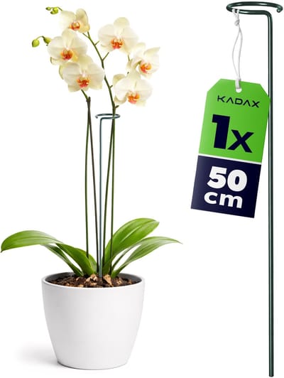 KADAX Plantensteun met oog 50 cm, stalen plantenstok, ring 6 cm, bloemensteun, groen, tuin, 1 st.