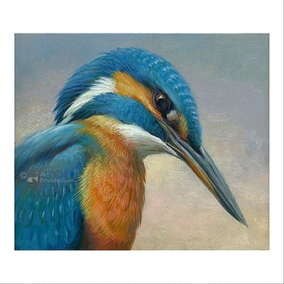Kunstkaart - Erik van Ommen - Portret van een ijsvogel - Art Revisited