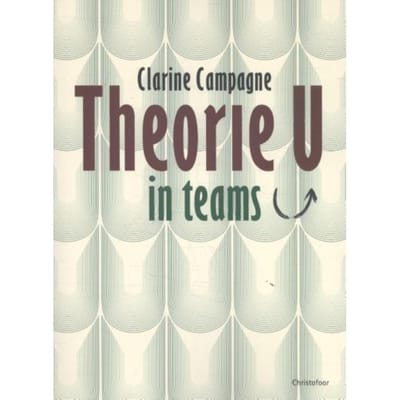 Theorie U In Teams - Clarine Campagne