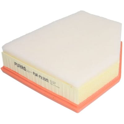 Luchtfilter PURRO PUR-PA3081