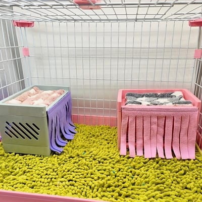 4 stuks Cavia Holenhuisje Hoog Laag Bed Met Franjes Deurgordijn 4pcs