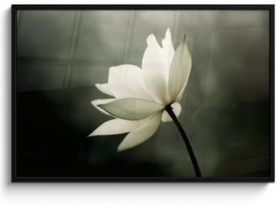 Poster in lijst - Fotolijst 120x80 cm - Posters - Wit - Lotus - Donker - Bloem - Posterlijst zwart - Decoratie - Wanddecoratie woonkamer - Muurdecoratie slaapkamer