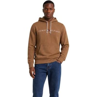 Capuchon sweaters Tommy Hilfiger TOMMY LOGO MW0MW11599