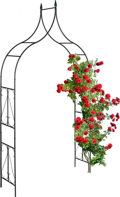 rozenboog metaal - 270 x 145 x 37 cm - tuinboog - klimplanten - zwart