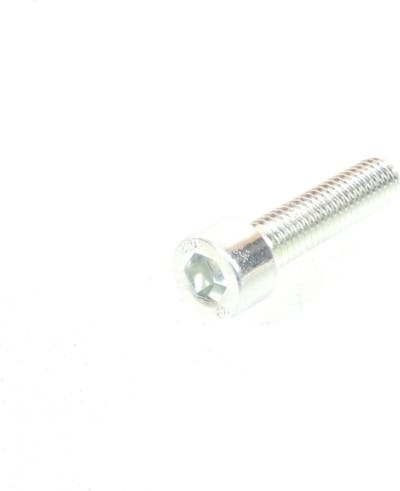 schroef btr voor motor peugeot 50 xps sm 2002 tot 2010 1174207312 / m6 p1.00 l25mm nieuw