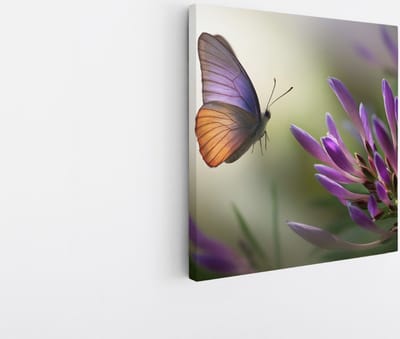 Saammp Canvas Schilderij - Vlinder naar paarse bloem - Natuur - Dieren - 20x20 - Foto op canvas - Wanddecoratie - muurdecoratie Woonkamer - Slaapkamer decoratie - Canvas Print