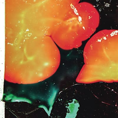 LP Plaat AMALIE DAHL'S DAFNIE - Står Op Med Solen ZORN105 Aguirre Records 2024 België Jazz red