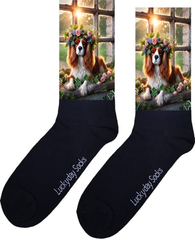 Spaniël - Valentijns cadeau - Verjaardag cadeau - Sint cadeau - Leuke sokken - Vrolijke sokken - Leuk cadeau - Man - Vrouw - Grappig cadeau - Kerst Sokken - Vaderdag - Moederdag - Kerstcadeau - Bloemen - Hond - Socks maken Happy - 37-44