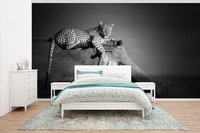 Behang - Fotobehang Panter - Boom - Dieren - Zwart - Wit - Breedte 500 cm x hoogte 280 cm