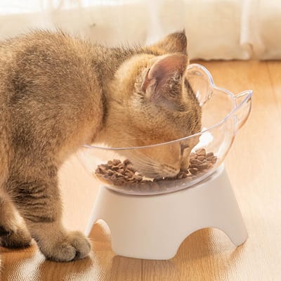 Gamelles pour chat, inclinées à 15 degrés, gamelle surélevée pour nourriture et eau pour chat, gamelles pour chat et petit chien
