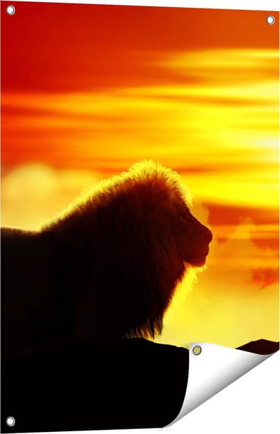 Gards Tuinposter Leeuw en Tijger - Silhouet - Zonsopkomst - 60x80 cm - Tuindoek - Tuindecoratie - Wanddecoratie buiten - Tuinschilderij