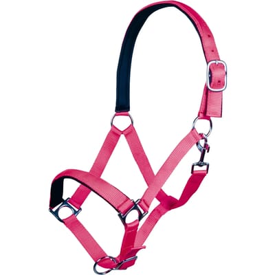Halster voor paarden HKM Stars Softice
