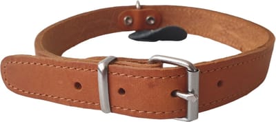 DUVO+ Diamond Dog Classy Halsband / Hondenhalsband - Gevet Leder - Cognac - Breedte: 22 mm - Nekomtrek: 40 - 47 cm (GELIEVE ALVORENS BESTELLEN OPMETEN)