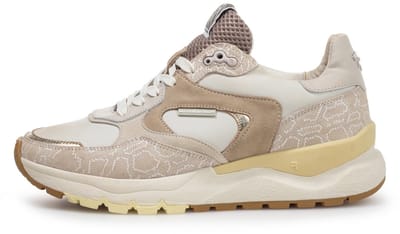 Floris van Bommel SFW-10164-34-01 / Treni 02.00
