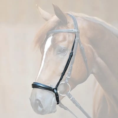 Paardenneusriem Kavalkade