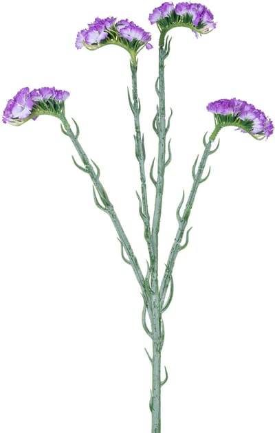 Easyplants | Kunsttak Statice 64 cm paars | Zijde | Nepbloemen | paars | Onderhoudsvrij | Kant-en-klaar