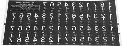 Piano Toetsen Stickers - Muziek Noten - Beginners Leren - Transparant Verwijderbaar - 49 54 61 Toetsen - Wit