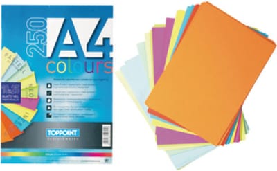 250 vel papier ass A4 80 gram 40825.