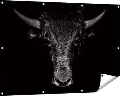 Gards Tuinposter Stierenkop - Stier - Zwart Wit - 120x80 cm - Tuindoek - Tuindecoratie - Wanddecoratie buiten - Tuinschilderij