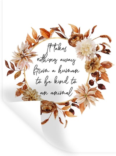 Muurstickers - Sticker Folie - Spreuken - Quotes - Dieren - It takes nothing away from a human to be kind to an animal - 30x40 cm - Plakfolie - Muurstickers Kinderkamer - Zelfklevend Behang - Zelfklevend behangpapier - Stickerfolie