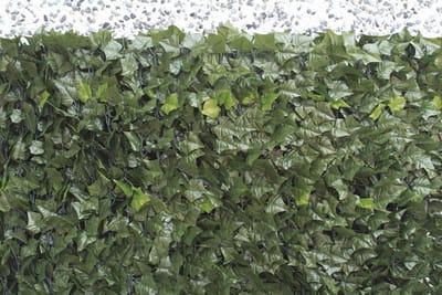 Kunsthaag Klimop 1,5 x 3 m voor Tuin en Balkon